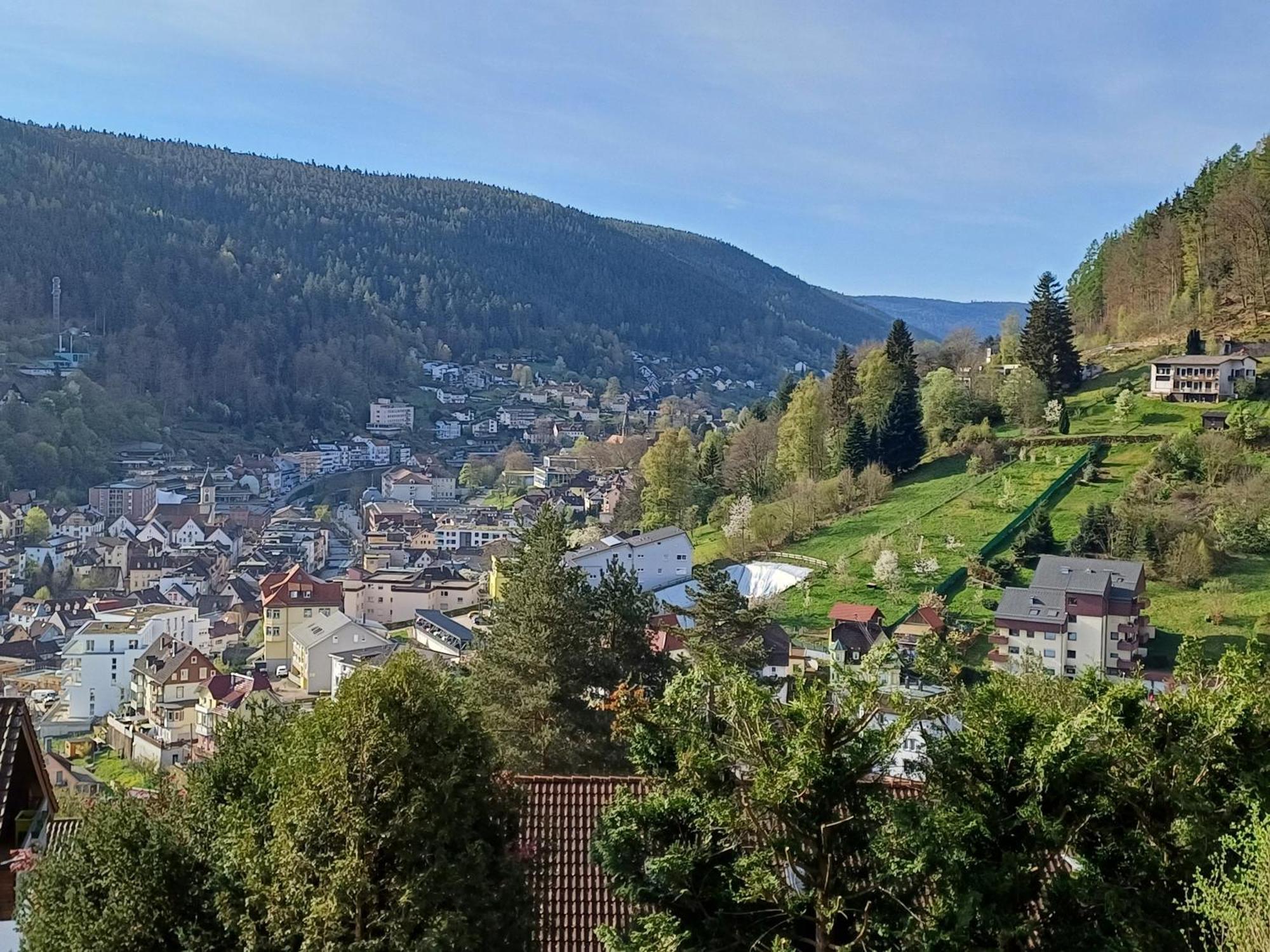 Ferienwohnung Panoramablick Bad Wildbad Exterior photo